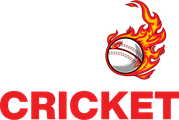 Auto Cricket
